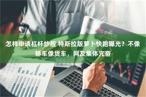 怎样申请杠杆炒股 特斯拉版萝卜快跑曝光？不像轿车像货车，网友集体亢奋
