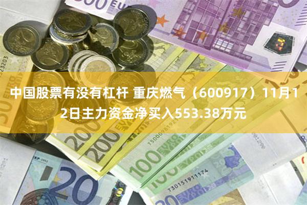 中国股票有没有杠杆 重庆燃气（600917）11月12日主力资金净买入553.38万元