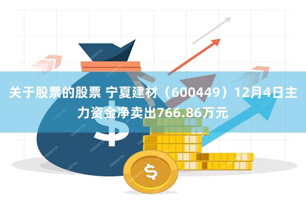 关于股票的股票 宁夏建材（600449）12月4日主力资金净卖出766.86万元