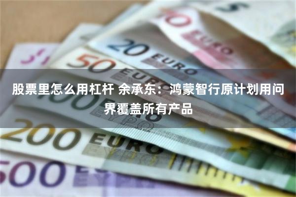 股票里怎么用杠杆 余承东：鸿蒙智行原计划用问界覆盖所有产品
