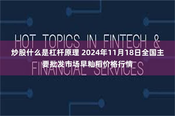 炒股什么是杠杆原理 2024年11月18日全国主要批发市场早籼稻价格行情