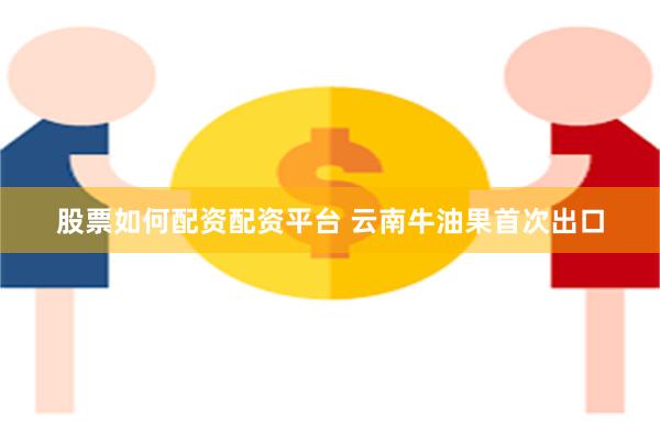股票如何配资配资平台 云南牛油果首次出口