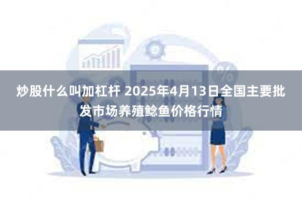 炒股什么叫加杠杆 2025年4月13日全国主要批发市场养殖鲶鱼价格行情