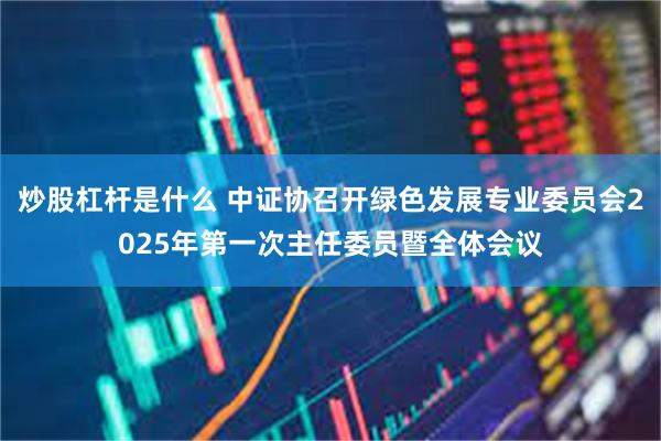 炒股杠杆是什么 中证协召开绿色发展专业委员会2025年第一次主任委员暨全体会议