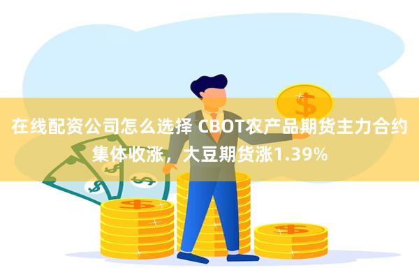 在线配资公司怎么选择 CBOT农产品期货主力合约集体收涨，大豆期货涨1.39%