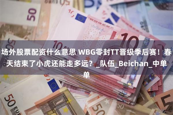 场外股票配资什么意思 WBG零封TT晋级季后赛！春天结束了小虎还能走多远？_队伍_Beichan_中单