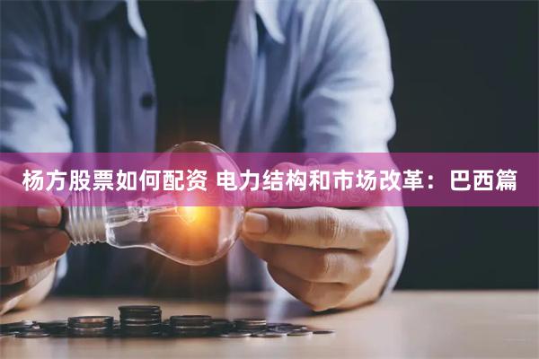 杨方股票如何配资 电力结构和市场改革：巴西篇