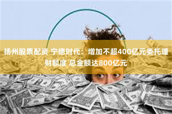 扬州股票配资 宁德时代：增加不超400亿元委托理财额度 总金额达800亿元