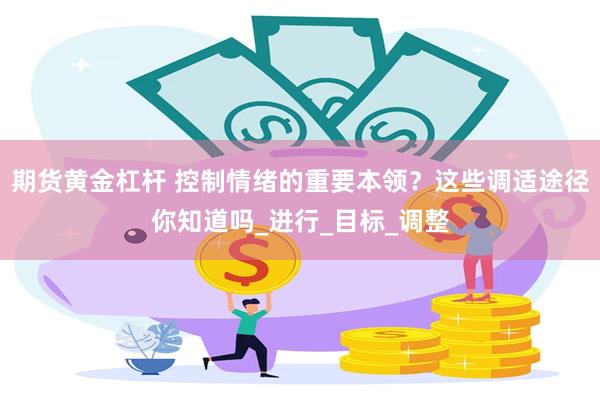期货黄金杠杆 控制情绪的重要本领？这些调适途径你知道吗_进行_目标_调整