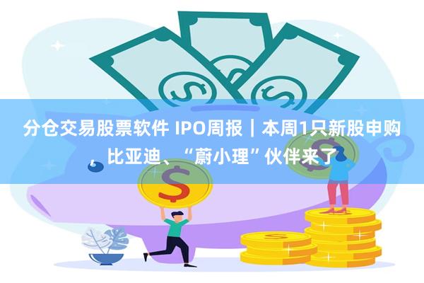 分仓交易股票软件 IPO周报｜本周1只新股申购，比亚迪、“蔚小理”伙伴来了